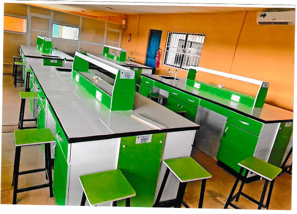 Long bench row with reagent shelves