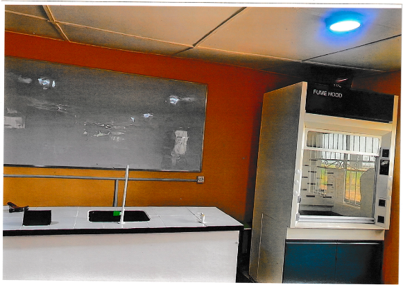 Fume hood with adjacent sink unit